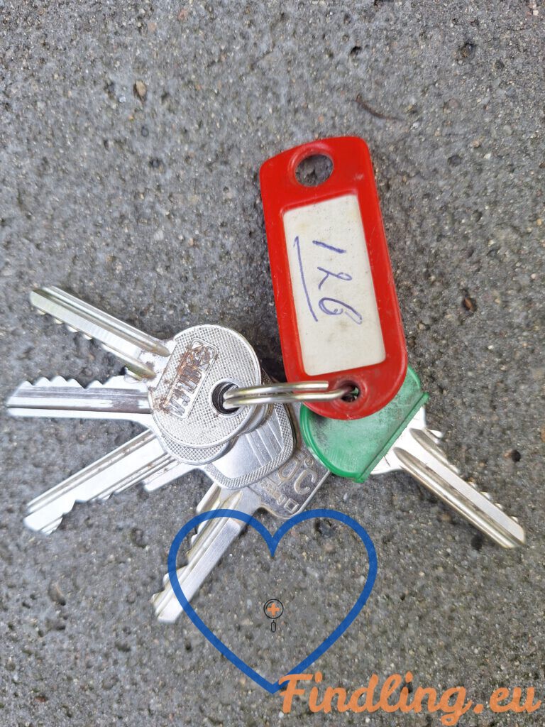 Cluster of metal keys on a key ring with a red plastic tag and a white label lying on a gray asphalt surface